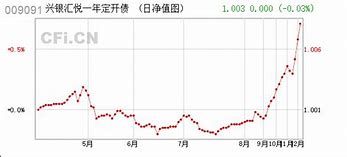 中加优悦一年定开债券基金分红解析投资者的收益与策略