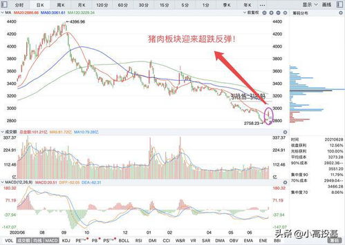 股三大指数震荡收跌地产股午后活跃