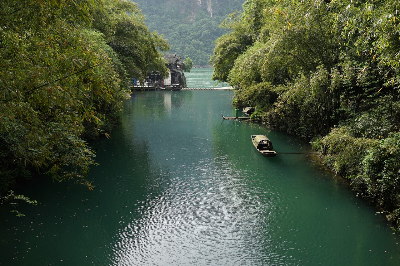 揭秘三峡大坝背后的经济与环保考量，门票政策的深思与价值解读