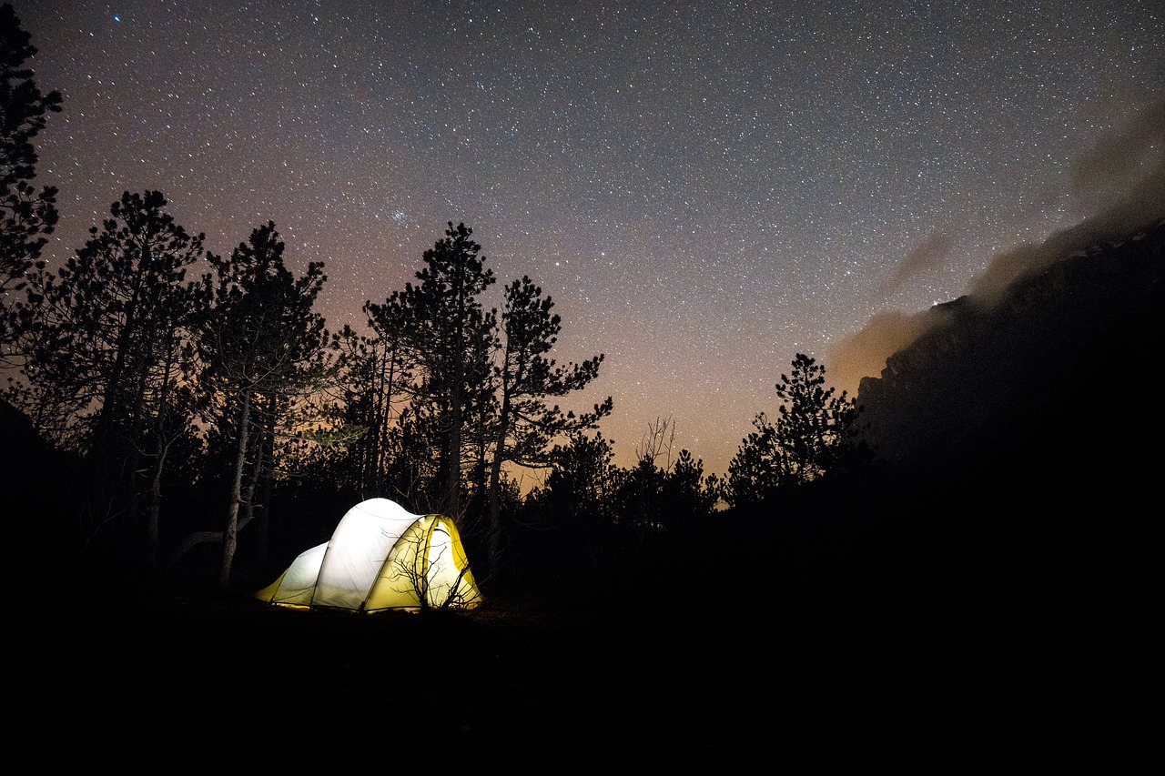 揭秘！三清山门票背后的生态价值与旅游攻略大解析