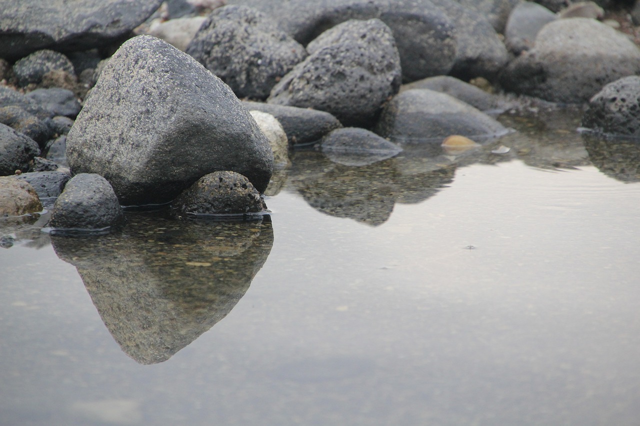 虾头里的线状物是寄生虫？假！