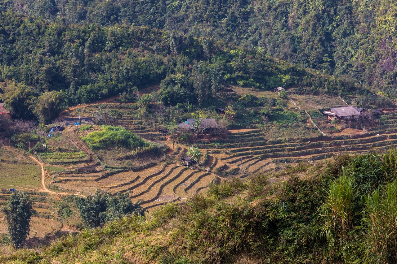 探秘齐鲁大地，醉美山东旅游攻略大赏