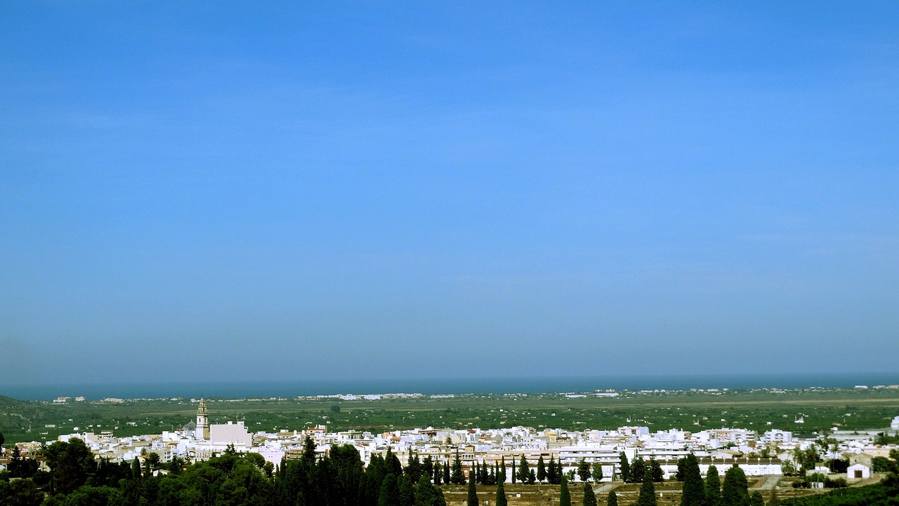 PVC期货市场动态，最新行情分析与投资策略